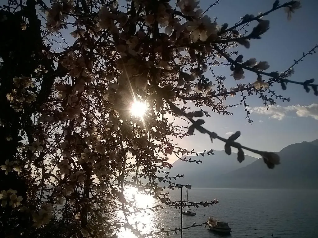 Hotel B&B Casa Sartori Malcesine